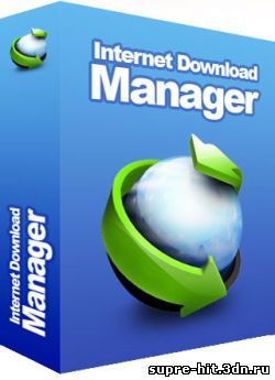 Internet Download Manager 6.07.16 Portable